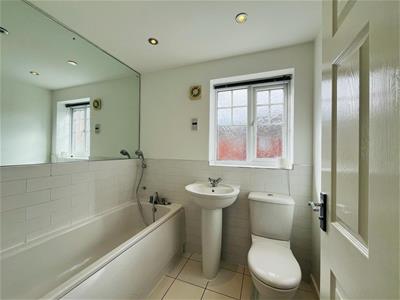 Picture 16